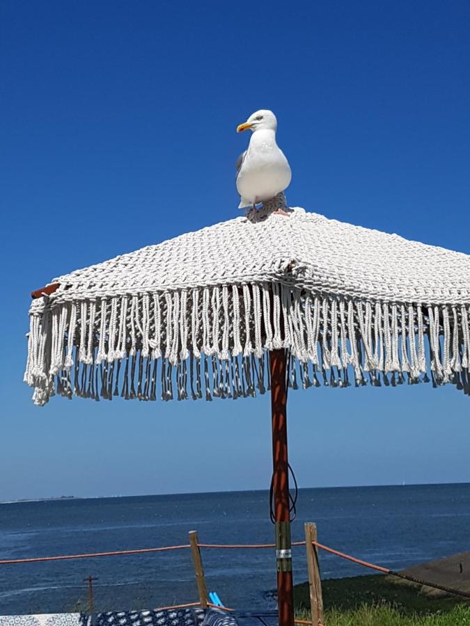 Romantisch Huisje Nabij Het Strand Met Uitzicht Op De Tulpenvelden Julianadorp Εξωτερικό φωτογραφία