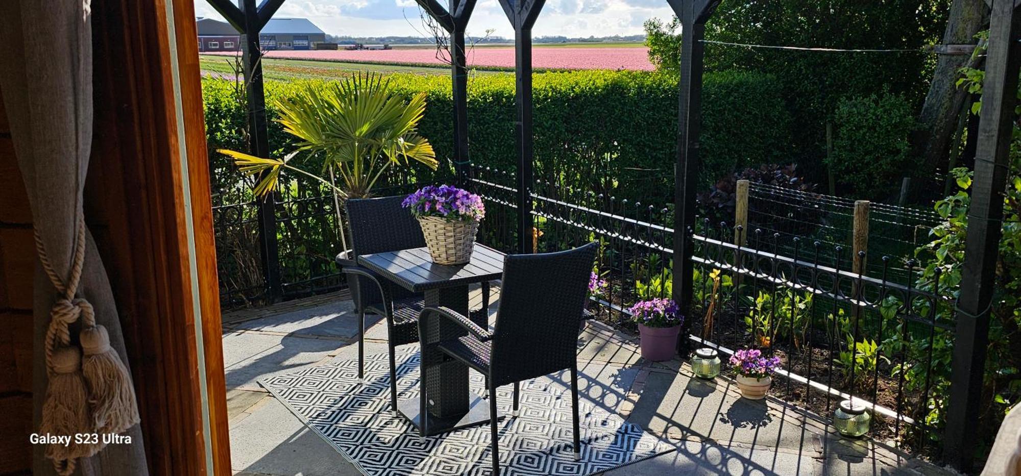 Romantisch Huisje Nabij Het Strand Met Uitzicht Op De Tulpenvelden Julianadorp Εξωτερικό φωτογραφία