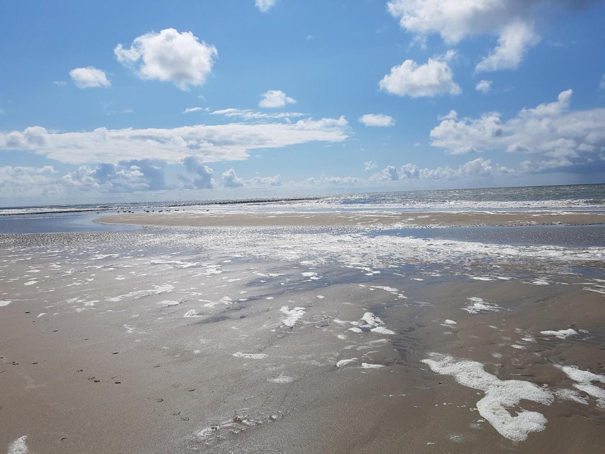 Romantisch Huisje Nabij Het Strand Met Uitzicht Op De Tulpenvelden Julianadorp Εξωτερικό φωτογραφία