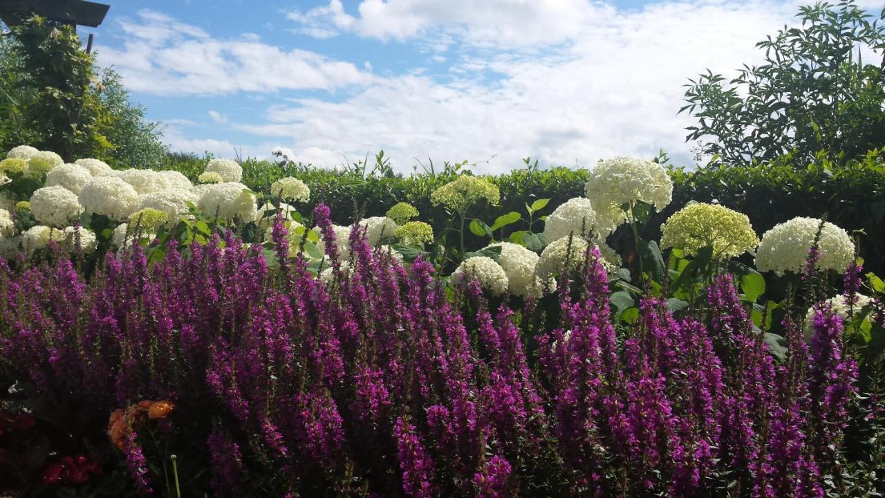 Romantisch Huisje Nabij Het Strand Met Uitzicht Op De Tulpenvelden Julianadorp Εξωτερικό φωτογραφία
