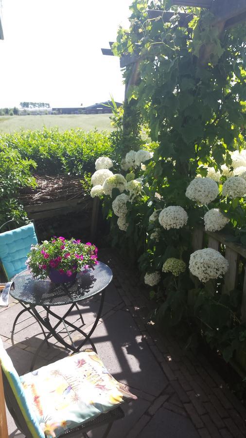 Romantisch Huisje Nabij Het Strand Met Uitzicht Op De Tulpenvelden Julianadorp Εξωτερικό φωτογραφία